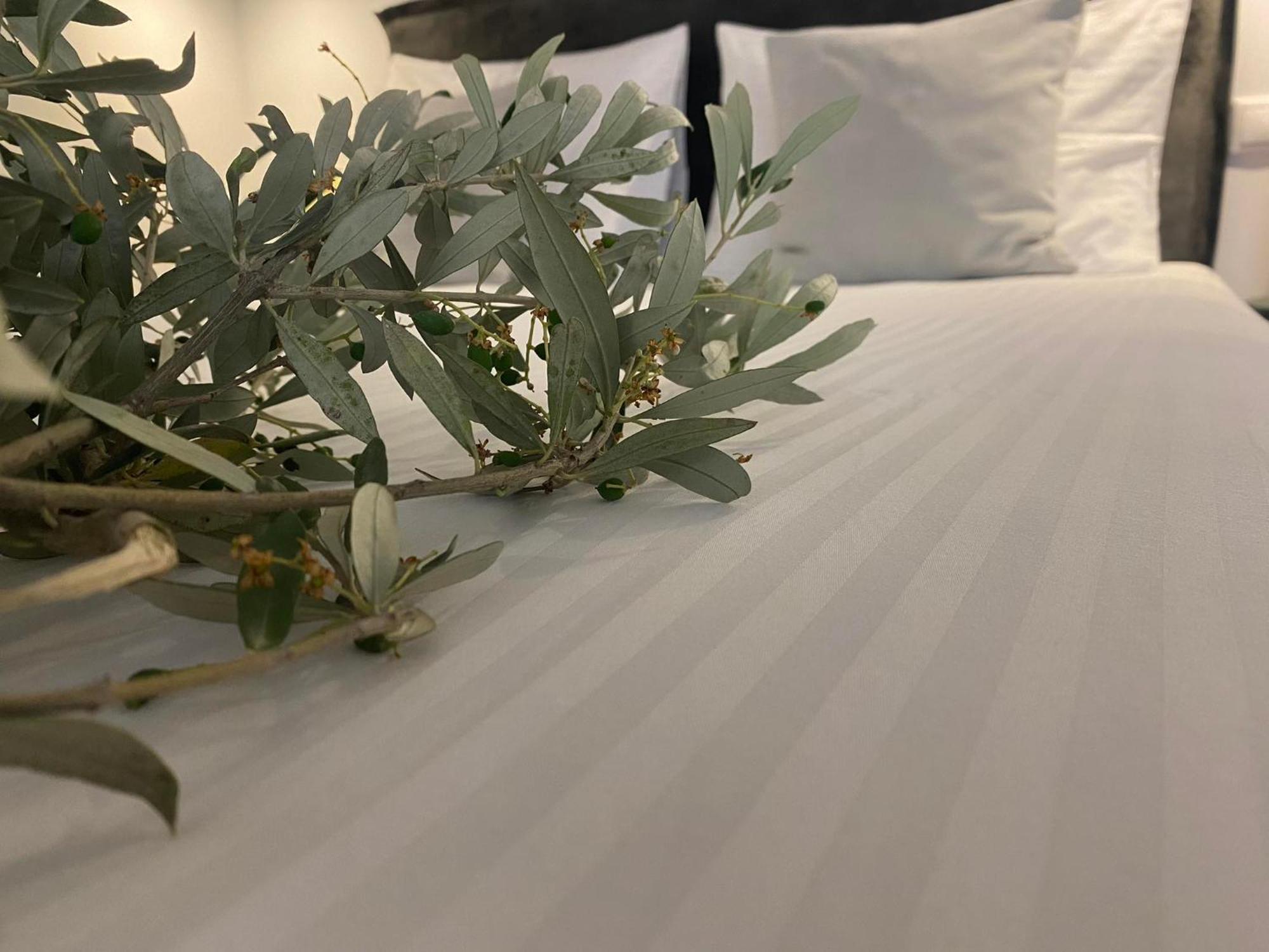 Oniropetra Luxury Suites Armakha Extérieur photo
